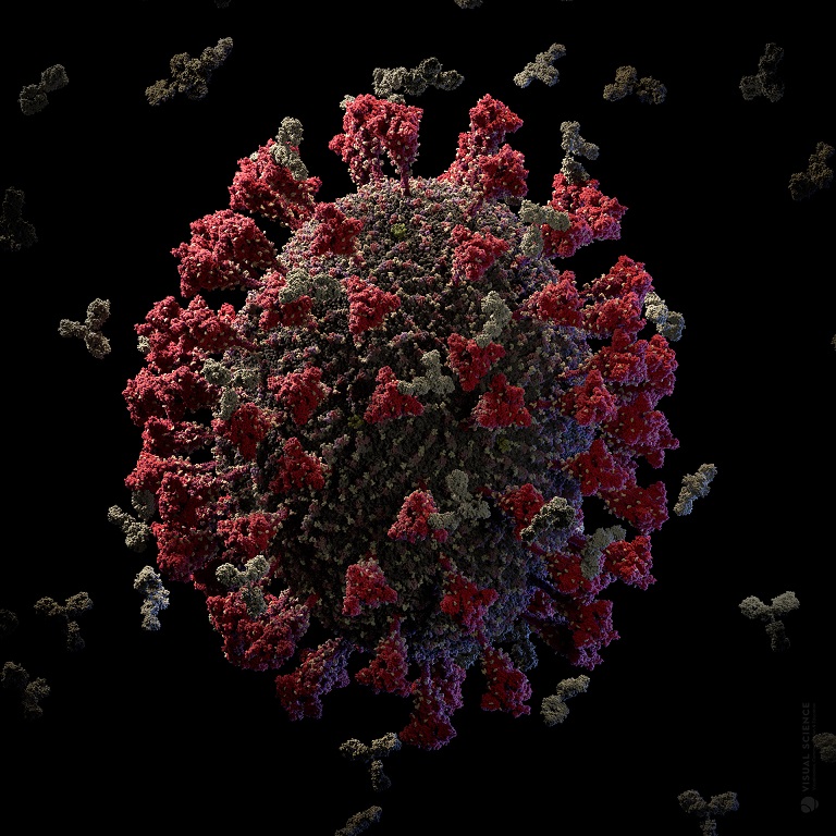 Coronavirusagain 14 5 2020 image2lr